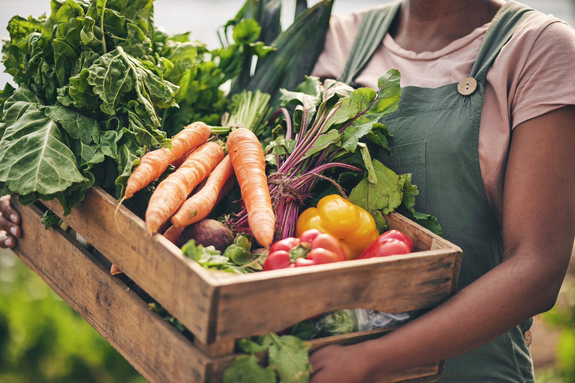 Farmer holding a box of fruit and vegetable produce