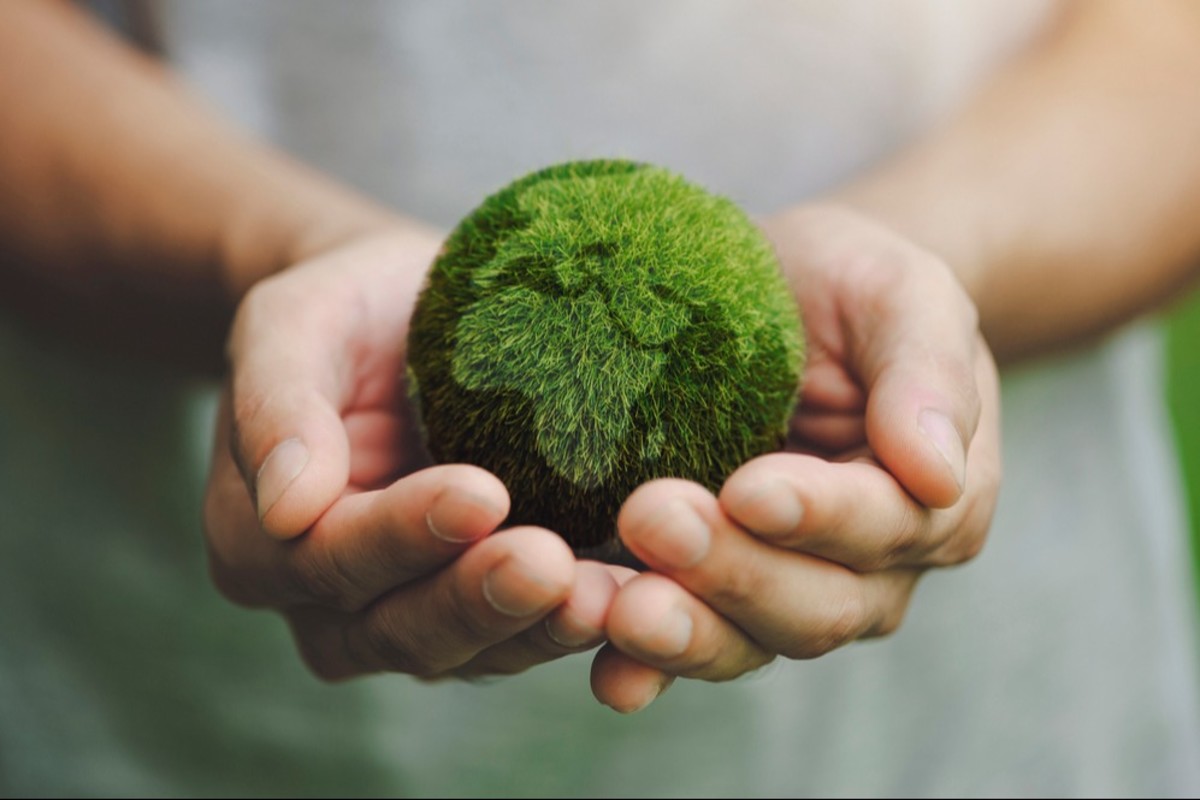 Image of a person holding a green globe