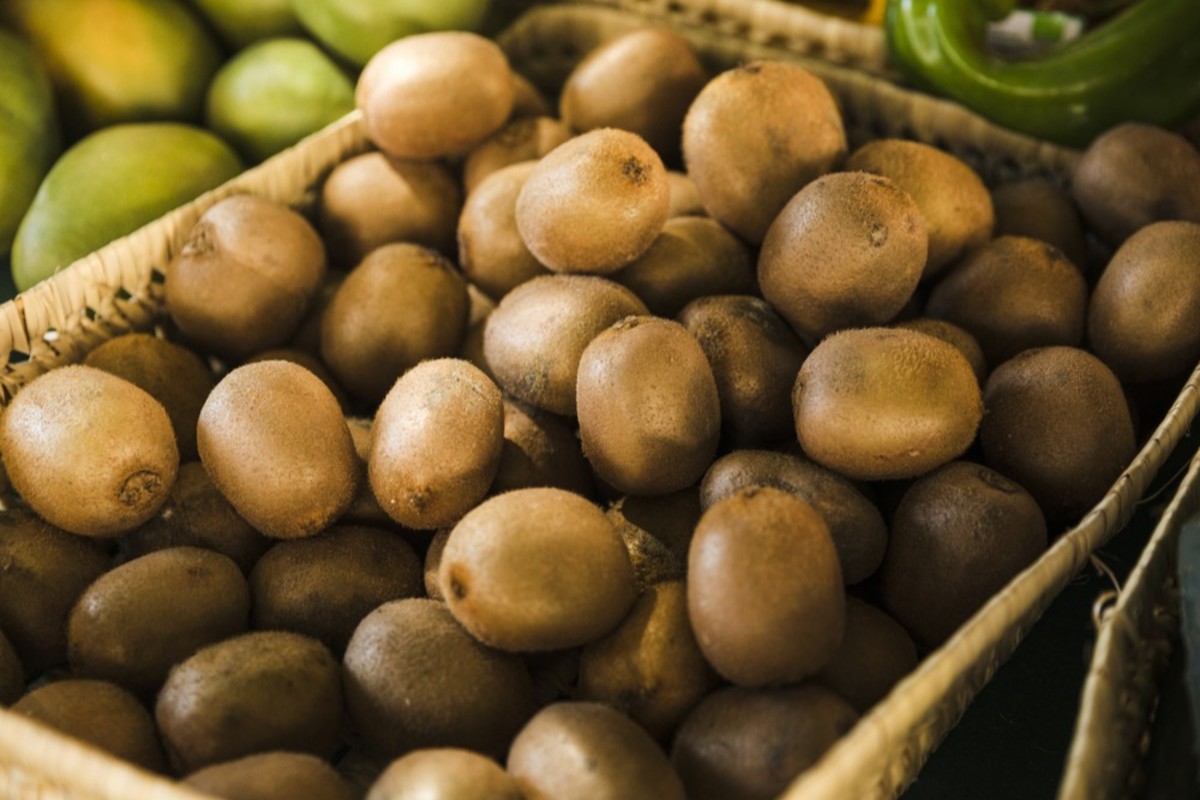 Image of kiwi fruits after harvest