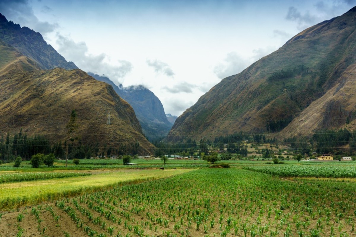 Image of an agricultural field in Peru