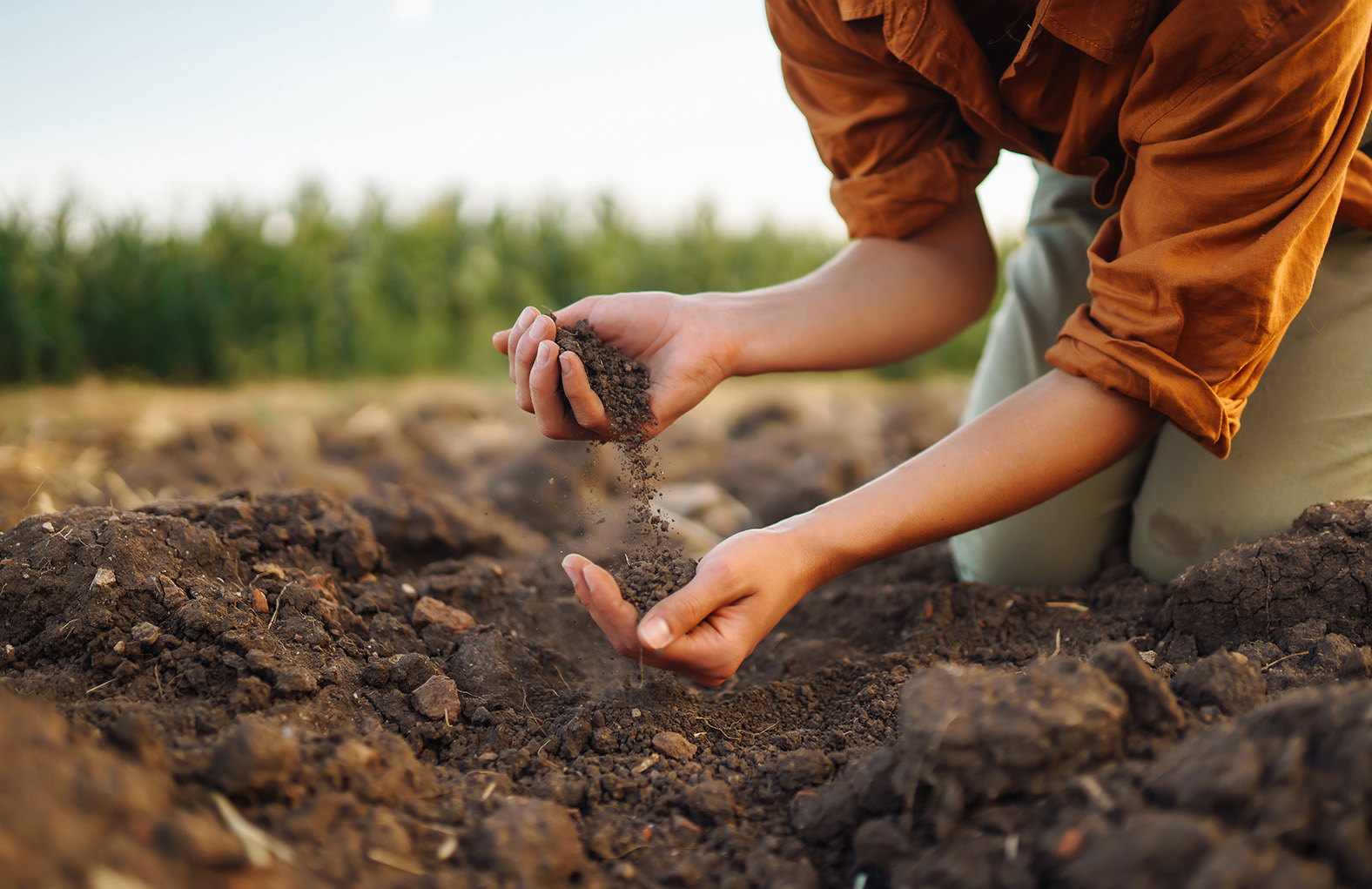 Image of a technical expert checking farm soil health before planting