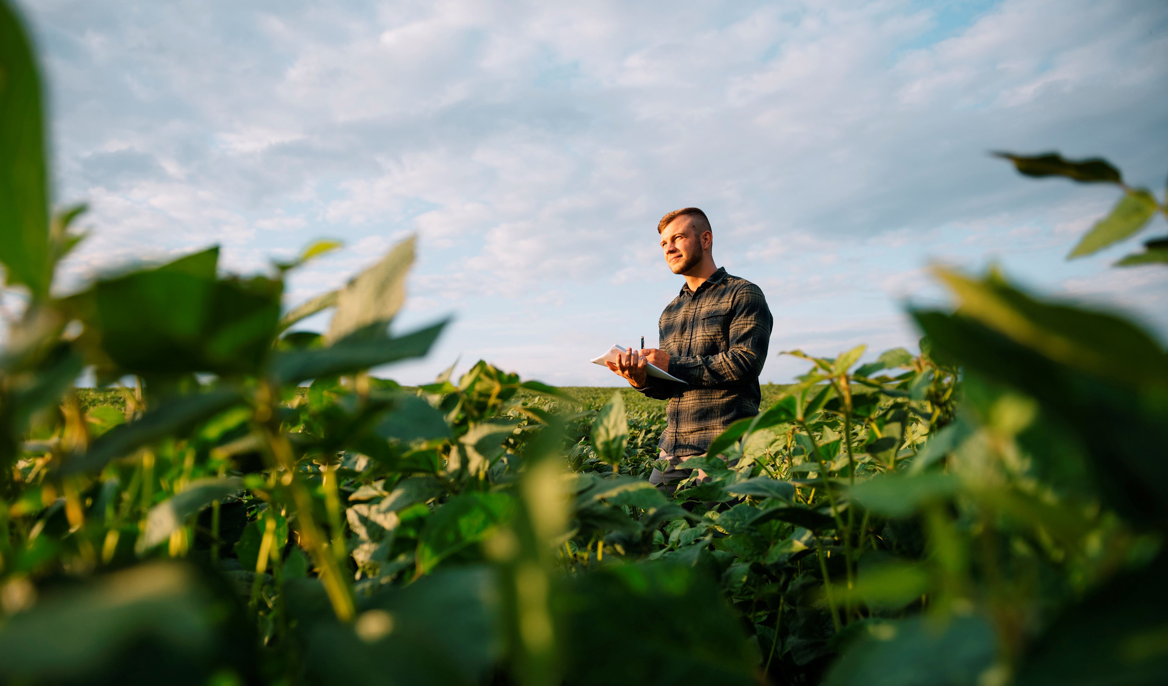 Image of a certification body auditor completing a standard checklist in a field