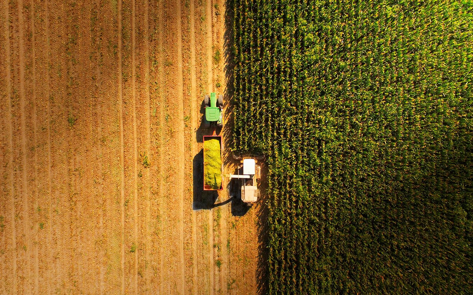 Image of a combine harvester from above working in a field