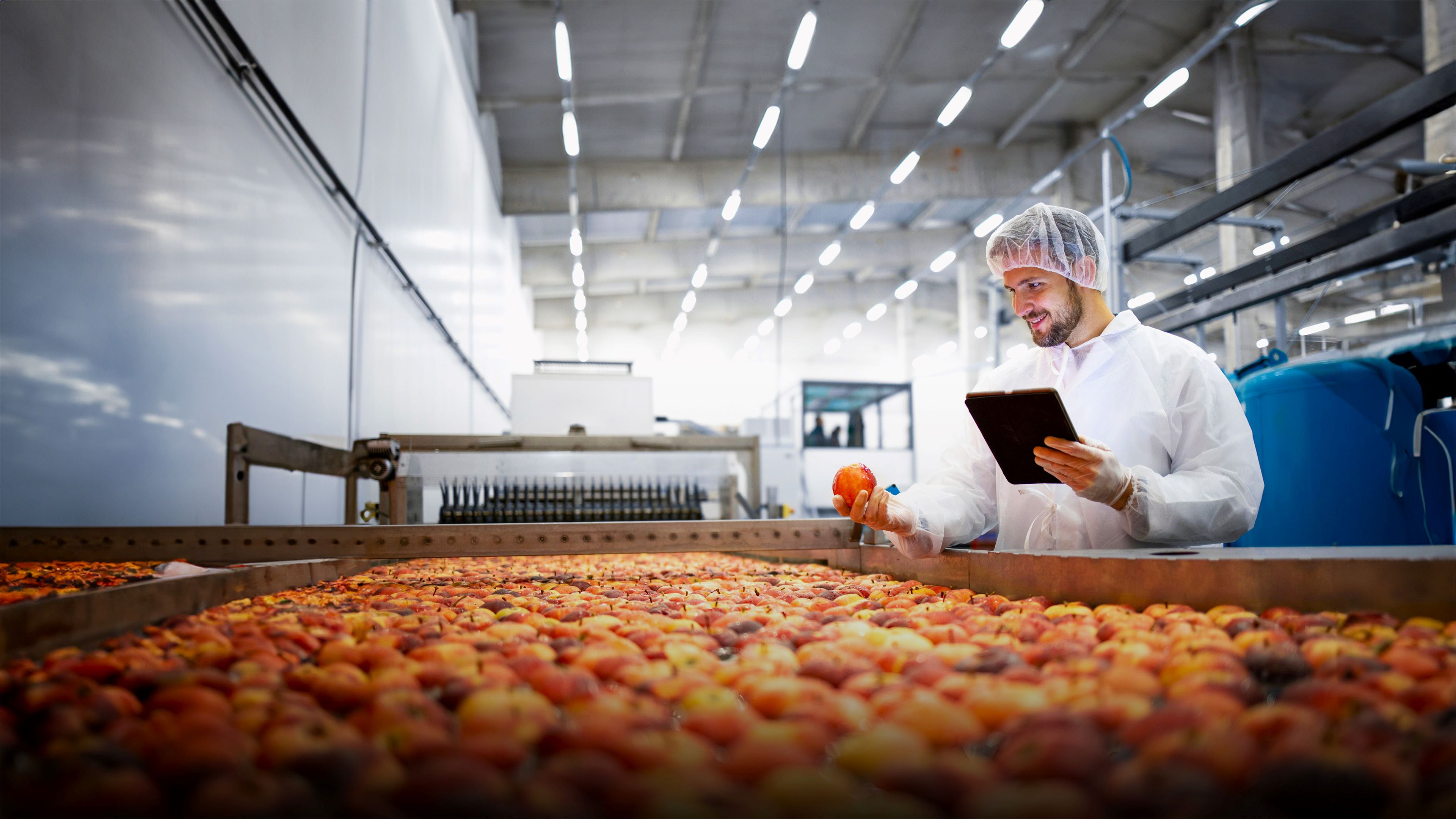Image of a supply chain processor washing and sorting apples
