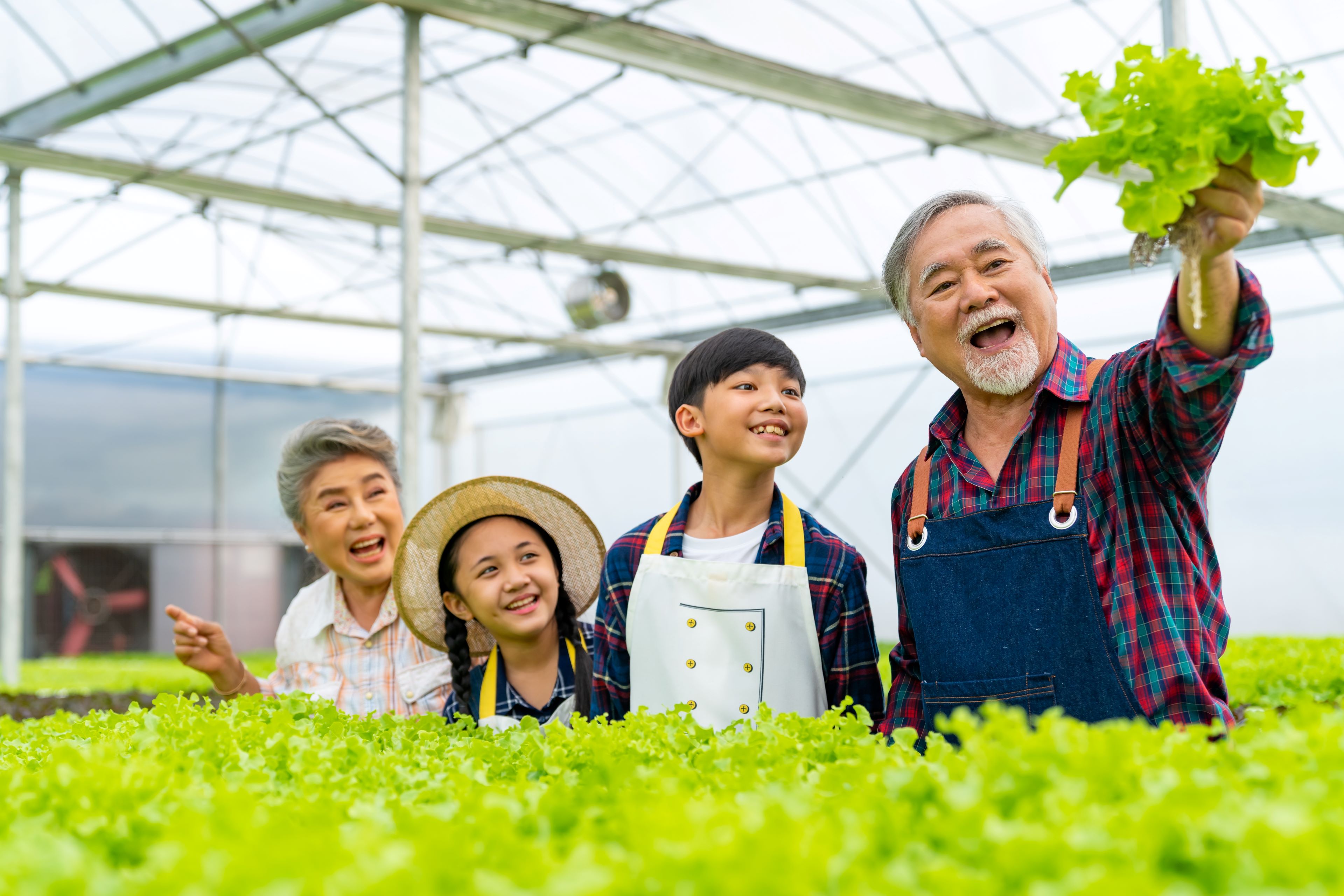 Image of a family farm celebrating a successful harvest