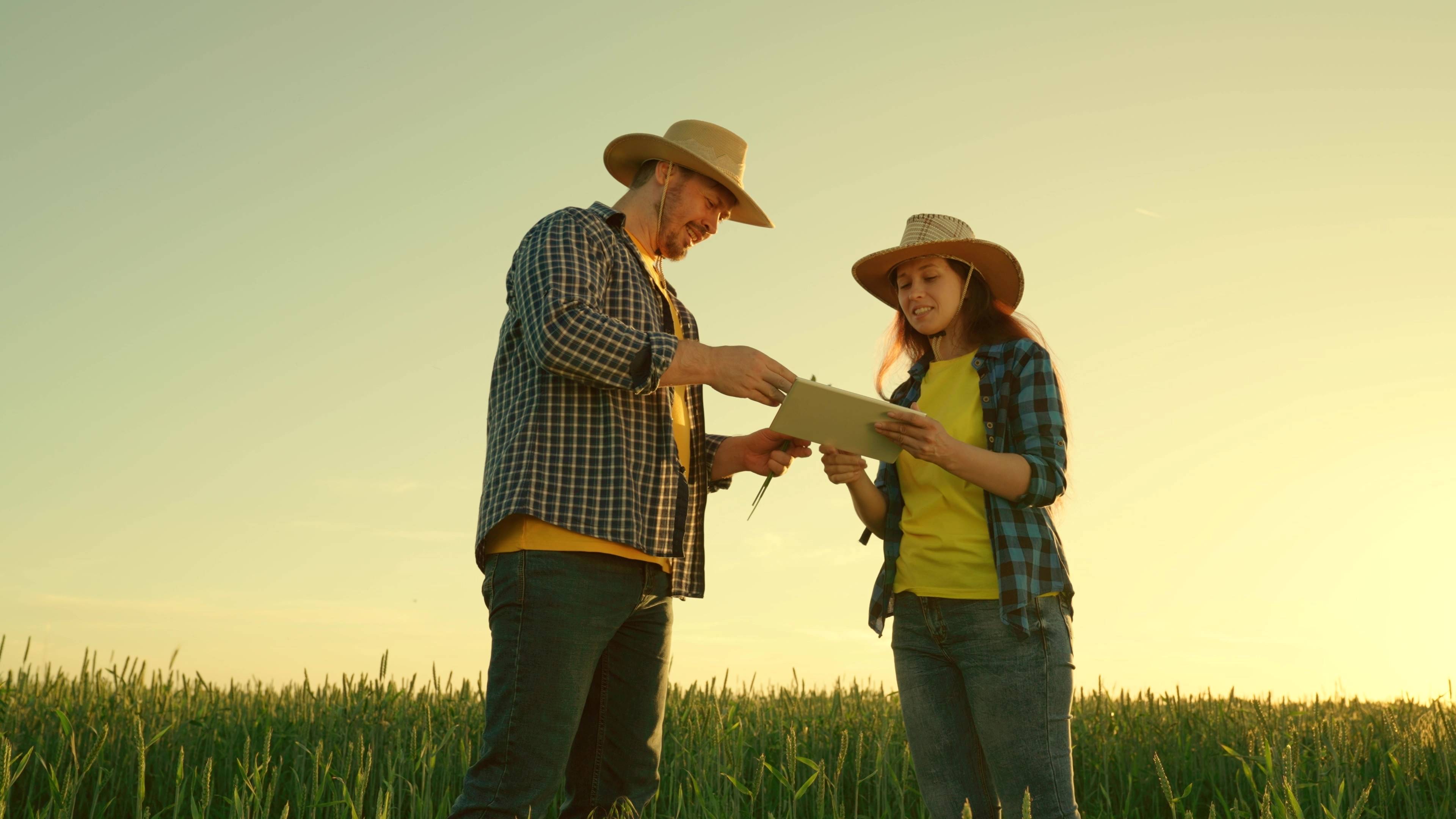 Image of two producers in a field looking at a digital map of the production area