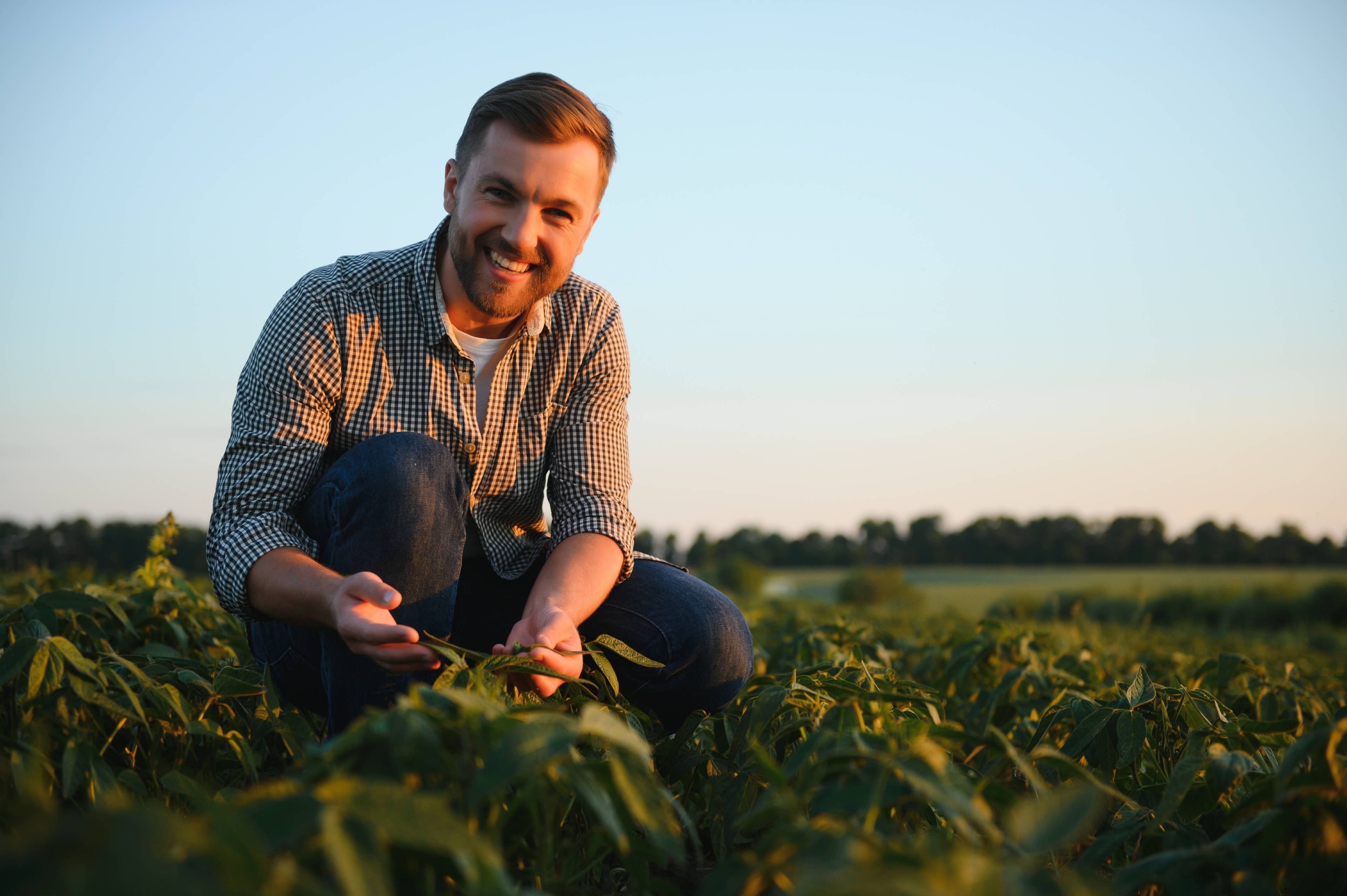 Image of a vegetable producer in a field at sunset checking plant growth