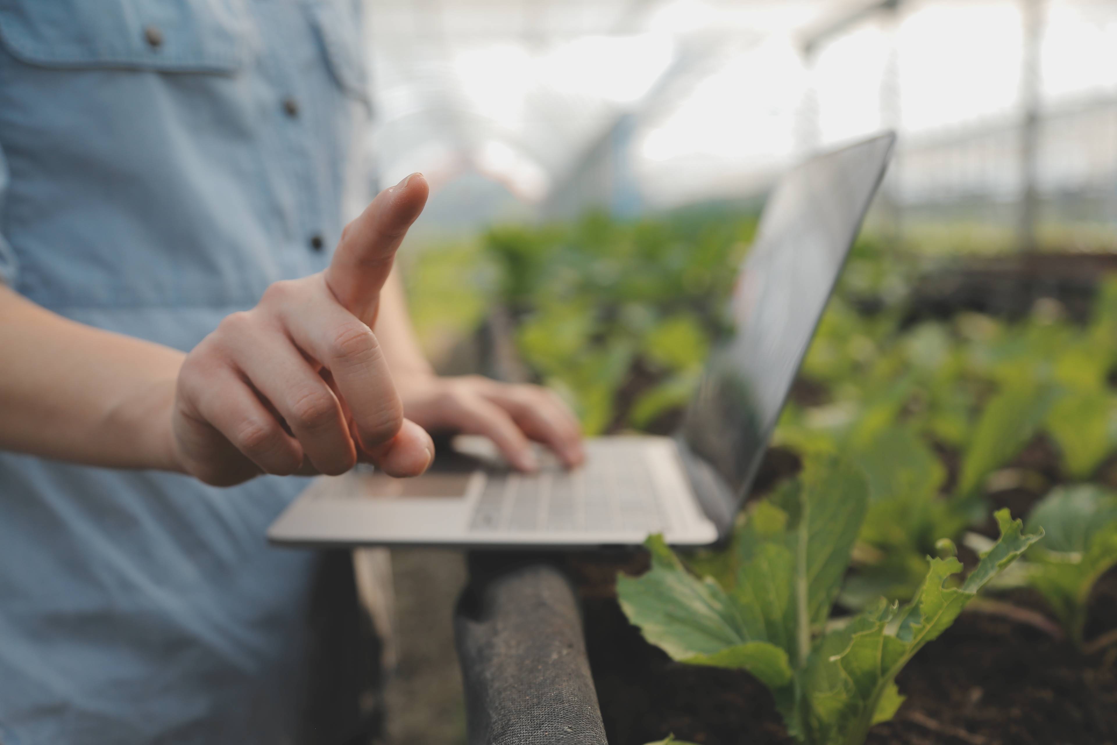 Image of a fruit and vegetable producer downloading a digital checklist