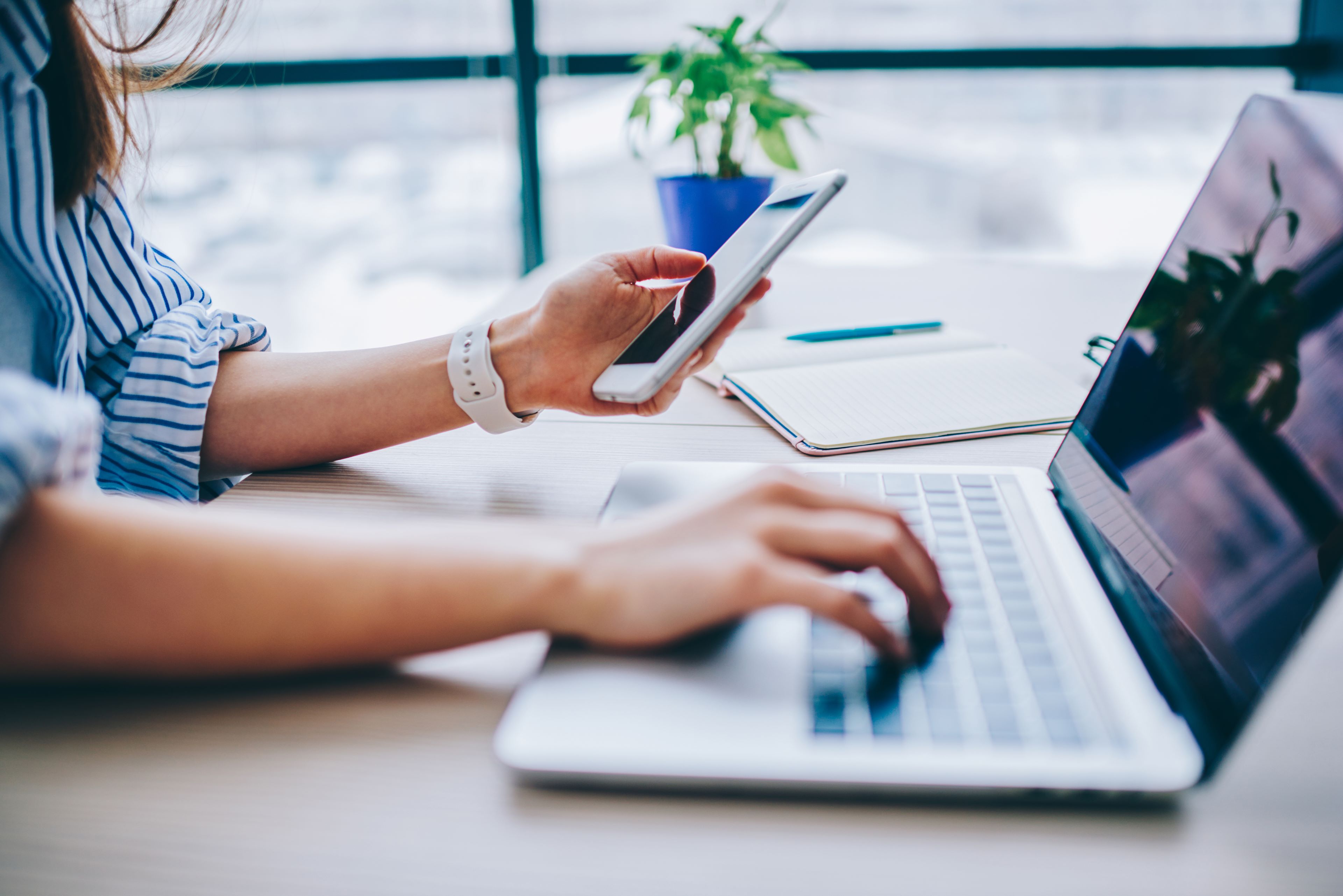 Image of a supply chain stakeholder validating certification status online