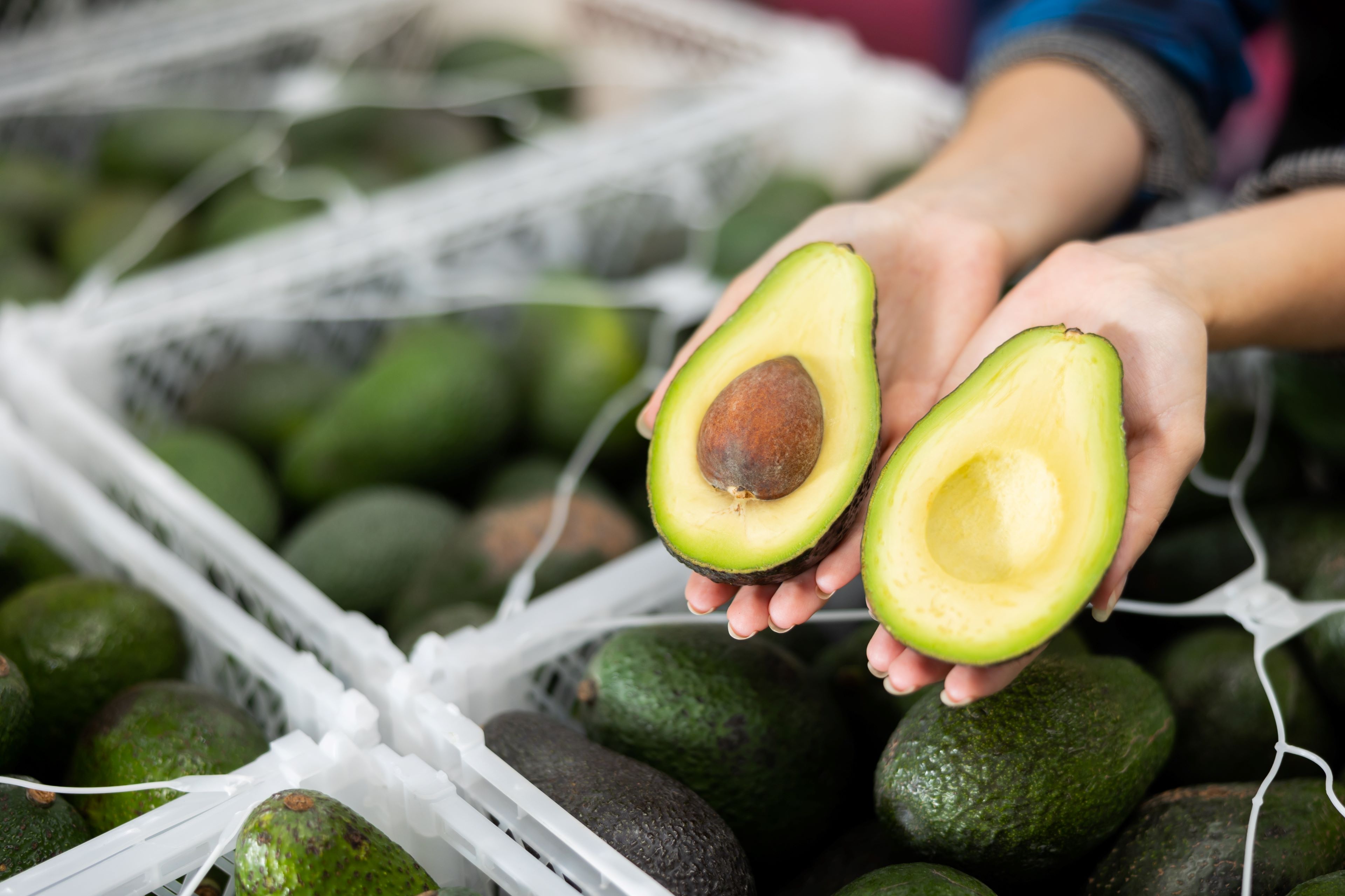 Image of a producer displaying a cut avocado after harvest