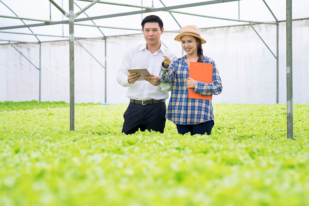 Image of two technical experts conducting an on-site assessment
