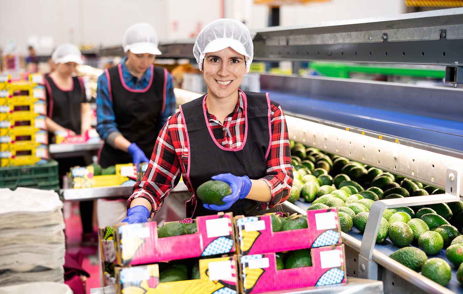 Image of a fresh produce processor packing fruit and vegetables for transport