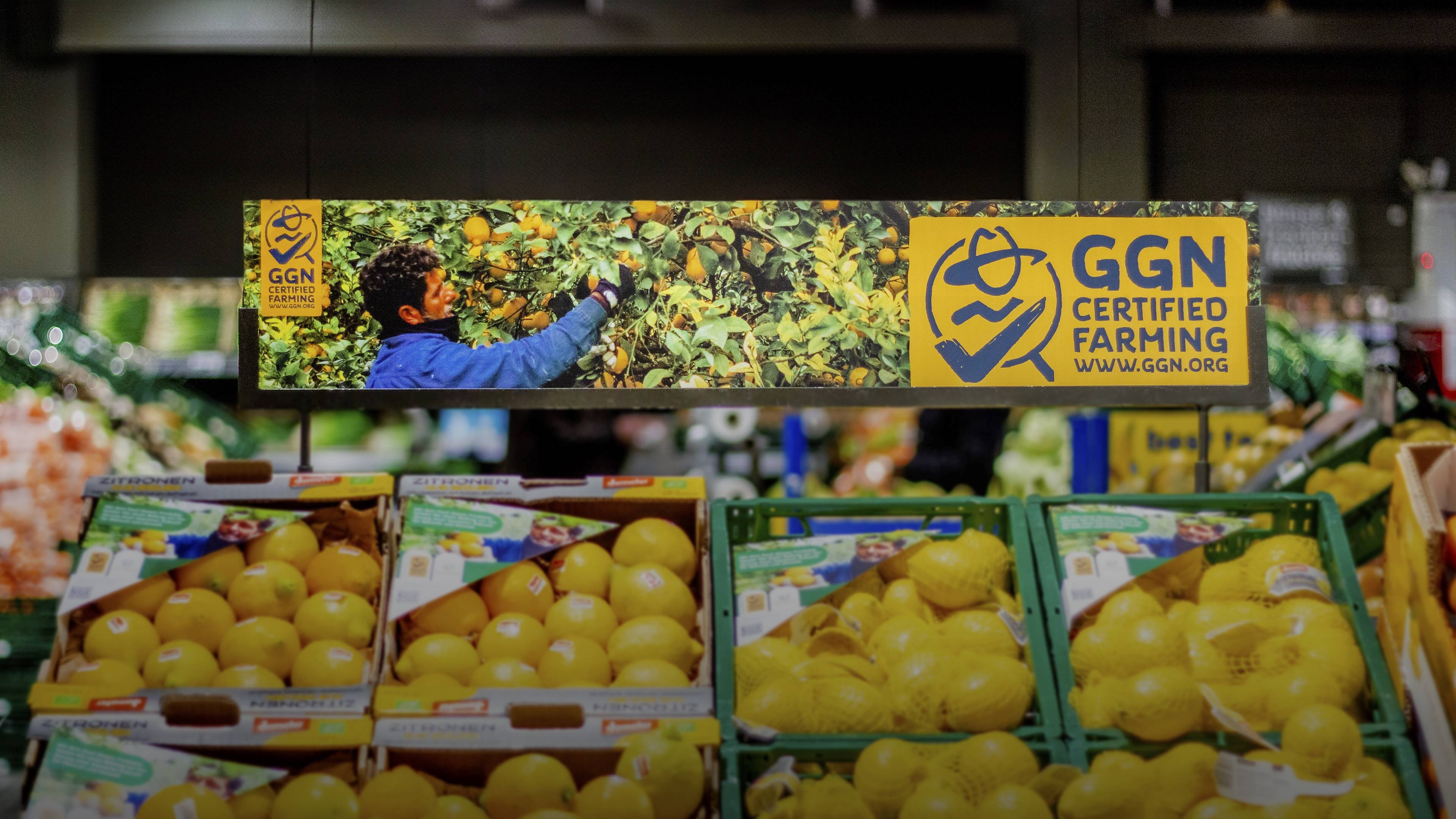 A retail stand displaying lemons with the GGN label at a GLOBUS store in Germany.