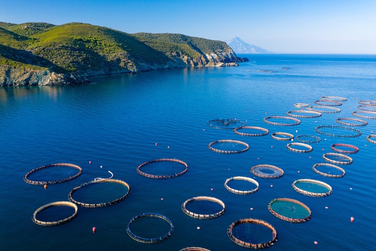 View of the fish farm. Aquaculture production.