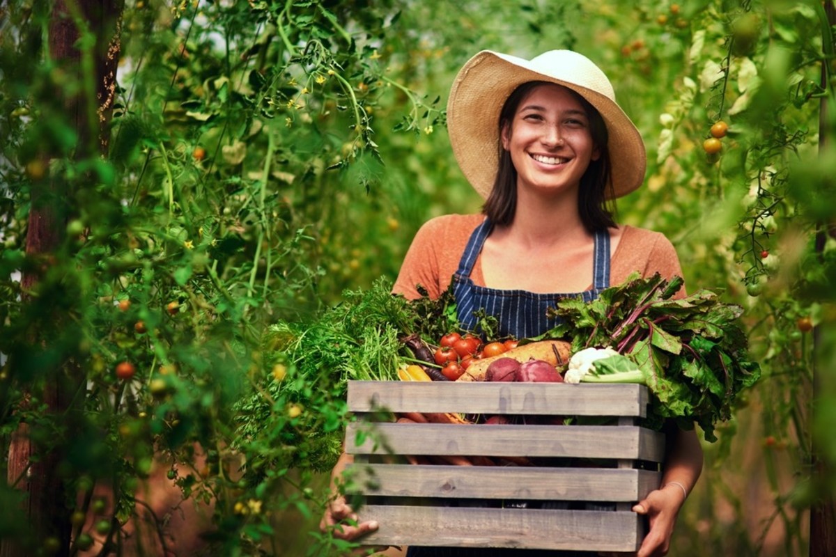 A gardener holding a basket of vegetables