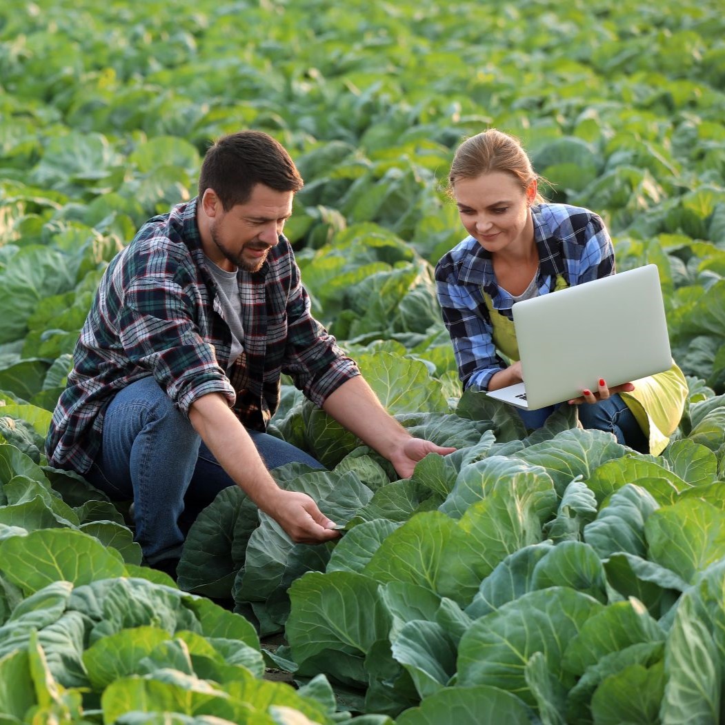 Female auditor inspecting a fruit and vegetable farm accompanied by a male producer