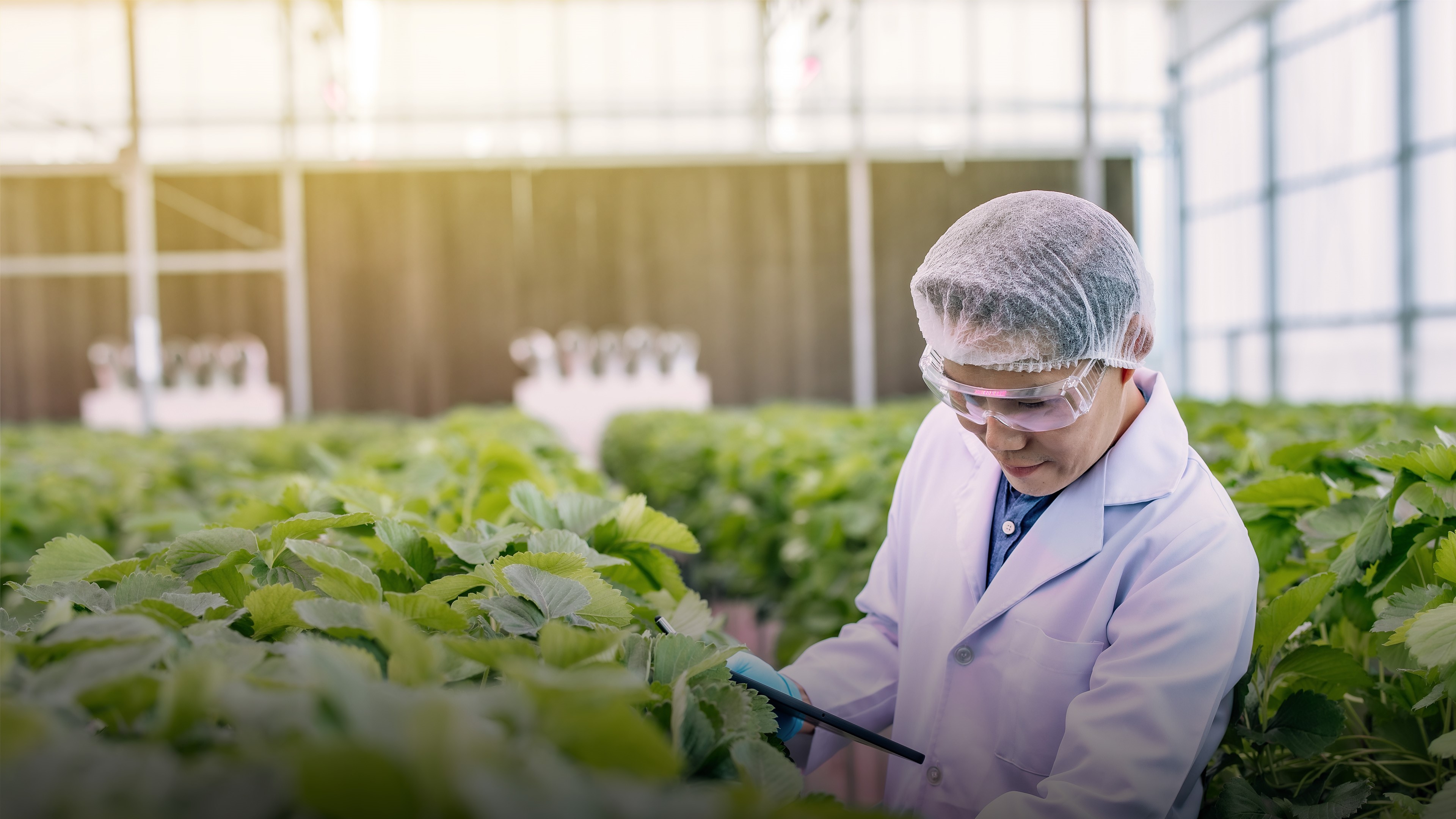 Image of an integrity assessor conducting a producer assessment at a fruit farm
