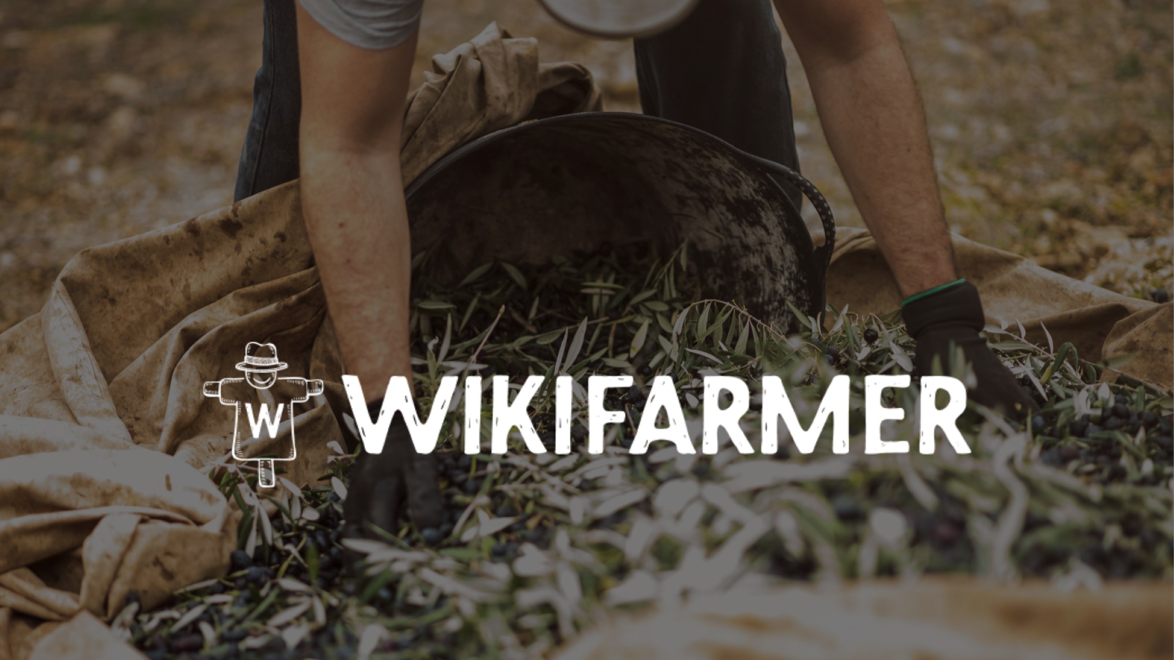 Wikifarmer is a new GLOBALG.A.P. Community Member in 2024