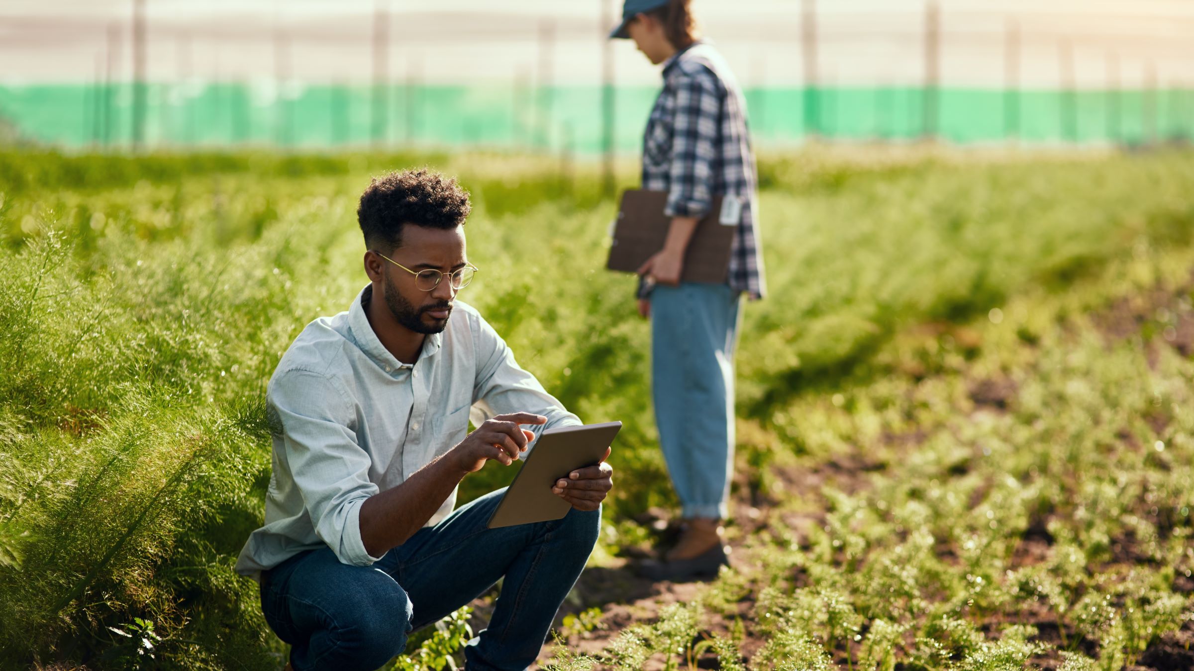 Young male farmer using a tablet while working on his farm with a female colleague in the background