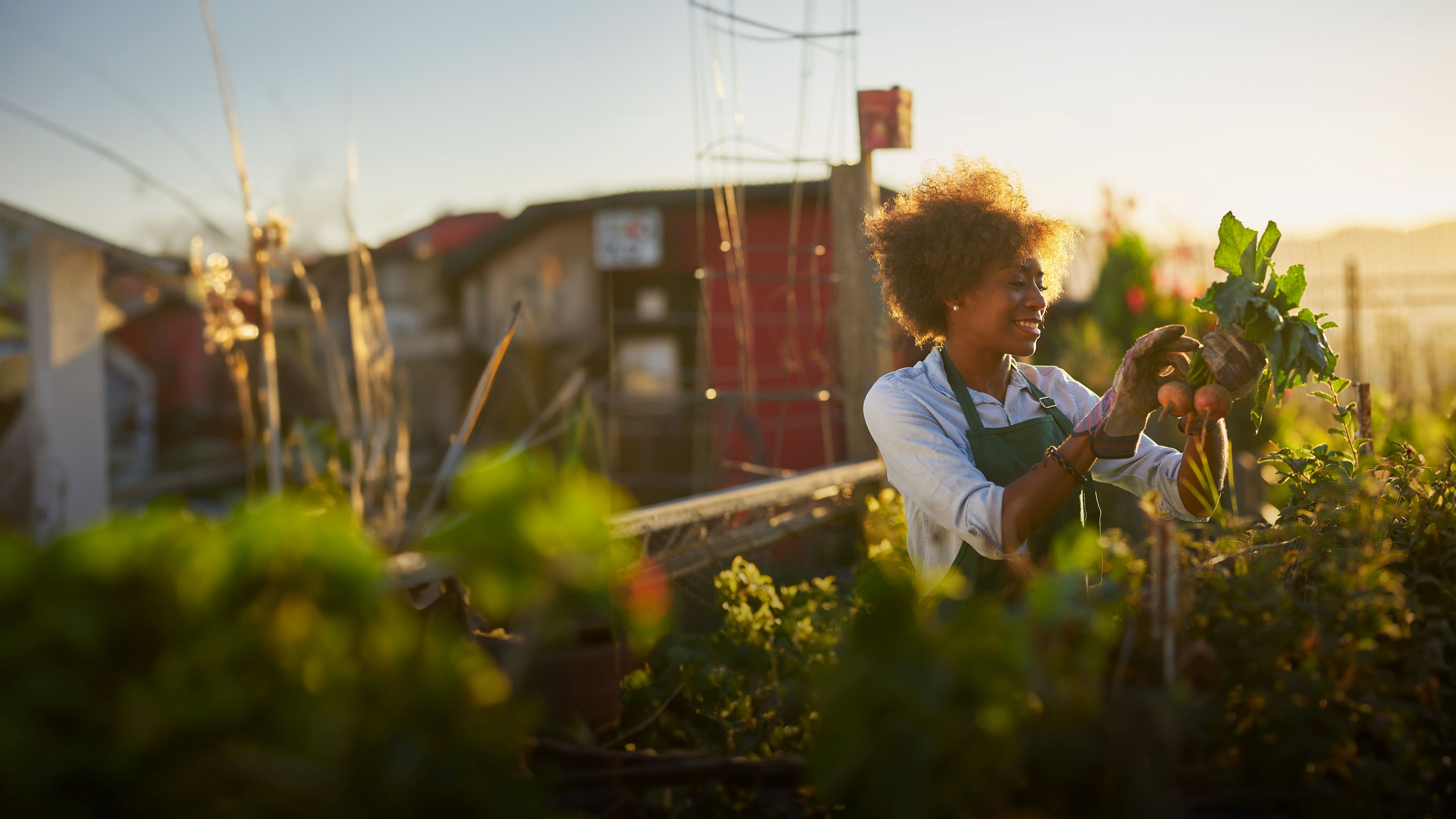 Image of two farm workers holding baskets of harvested fruit