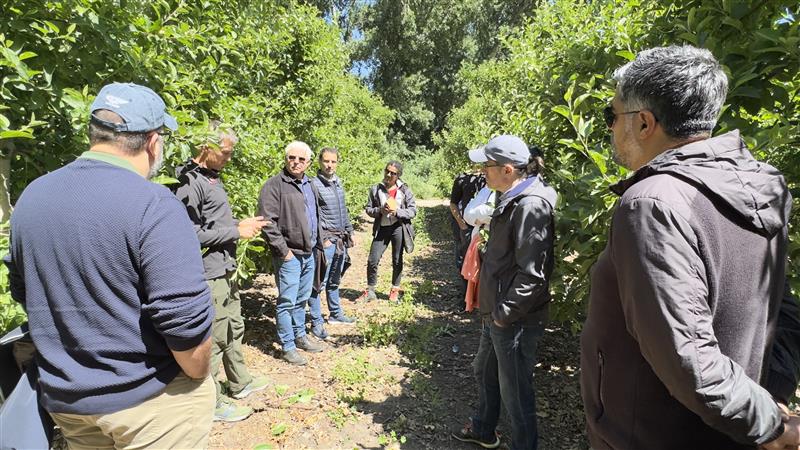 GLOBALG.A.P. senior leadership team visit Welgemeen Boerdery, a farm in South Africa in November 2024.