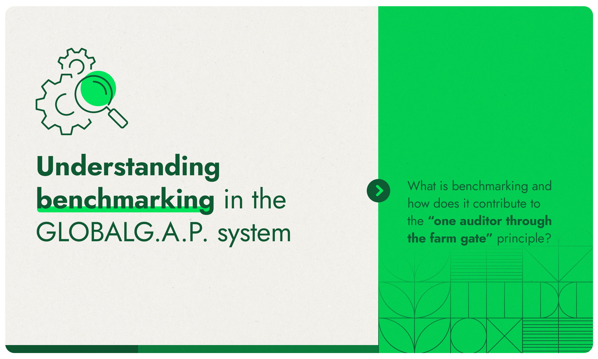 Understanding benchmarking in the GLOBALG.A.P. system. What is benchmarking and how does it contribute to the "one auditor through the fam gate" principle?