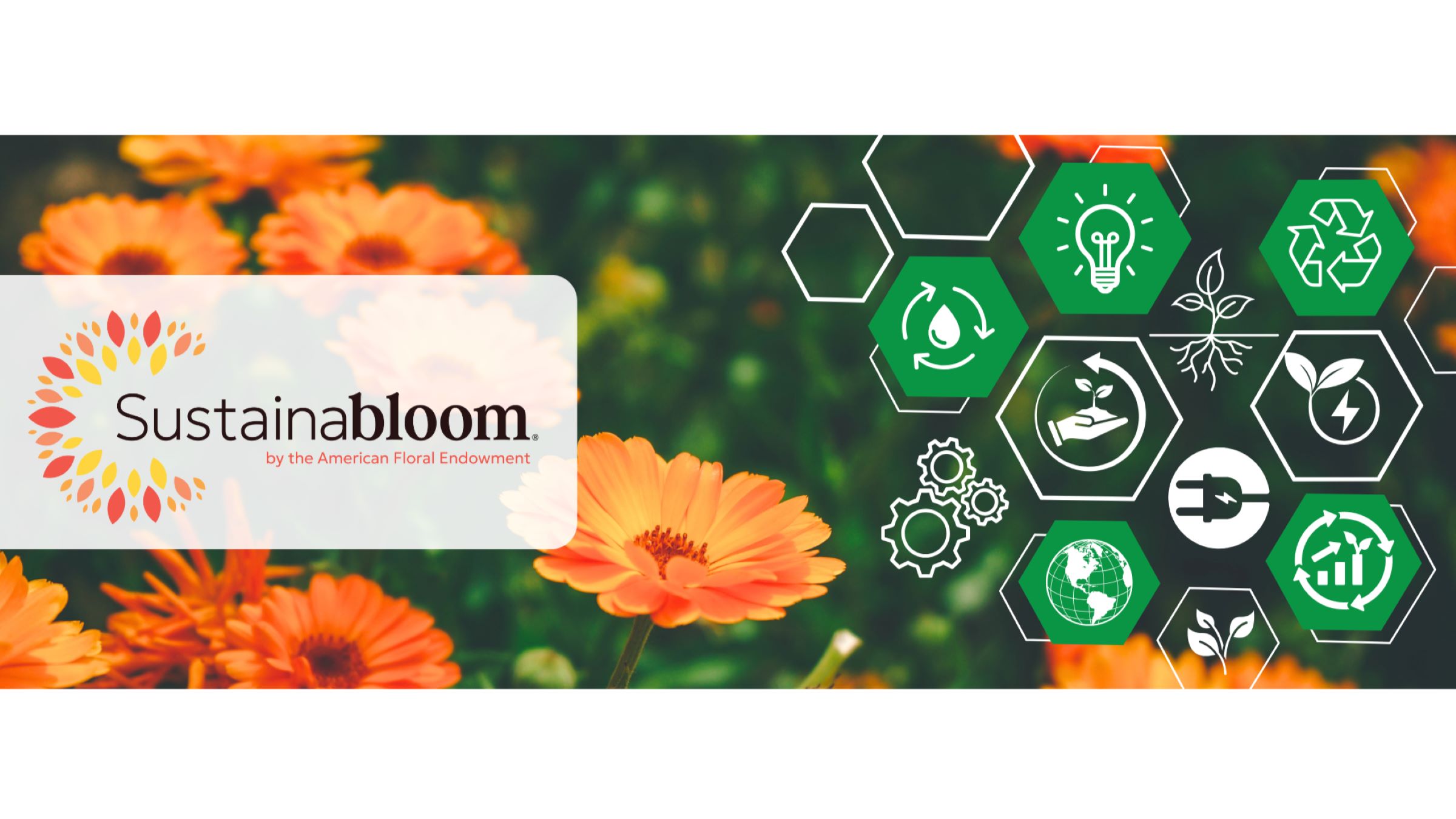 Sustainabloom banner, new GLOBALG.A.P. Community Member in 2025.