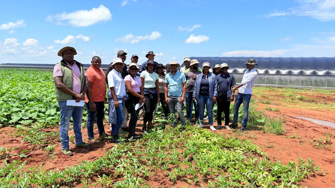 A group of farmers and trainers in Namibia participating in capacity building training, 2025